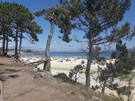 viajes carballo galicia|Viajes Carballo Galicia en Vilagarcía de Arousa